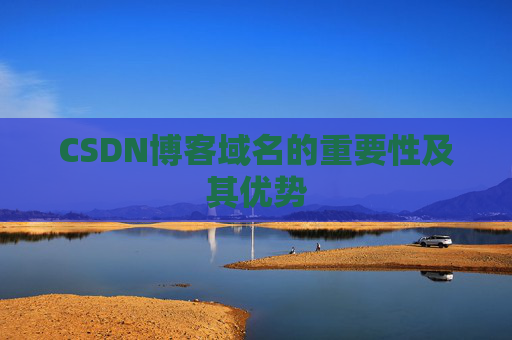 CSDN博客域名的重要性及其优势